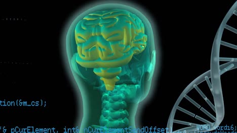 cerebro digital y hélice de adn