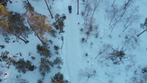 雪地滑板车在冬天穿过雪地森林的树木的空中视图