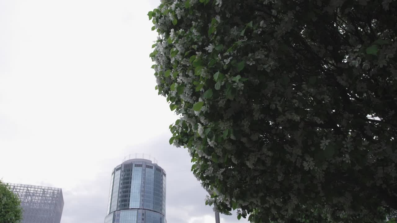 Edifício Moderno da Cidade com Árvores Primaveris