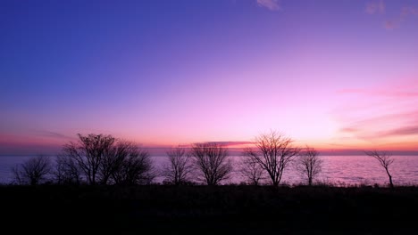 Drone-Silhouette-Of-Tress-With-A-Bright,-Beautiful-Pink-Sunrise-In-Winter-Over-The-Sea