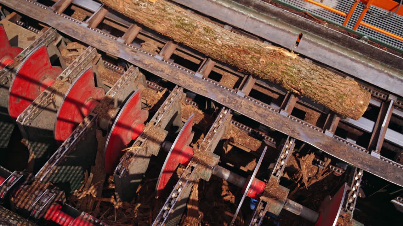 Industrial plant sawmill. Process of machining logs in equipment sawmill machine saw