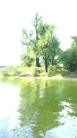 tranquil lake with green trees