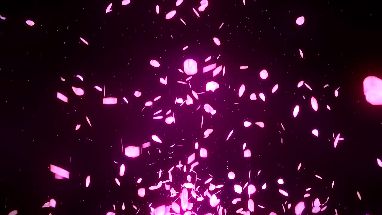 장미색 배경에 떨어지는 체리 꽃 잎, 루프 글리터 애니메이션