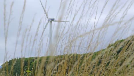 moving past yellow grass with windmill rotating past tree line