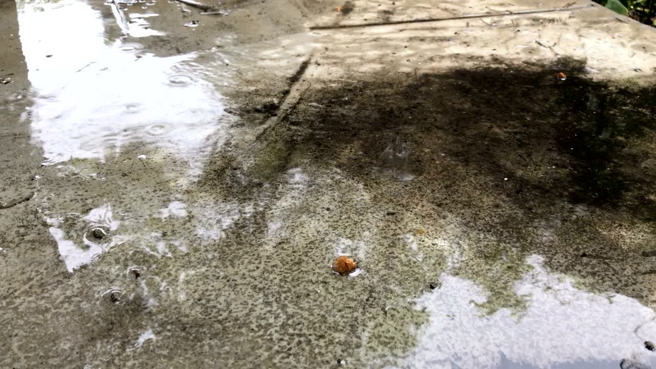 은 콘크리트 위에 방울이 떨어집니다.