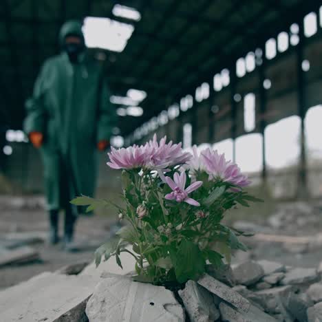 post apocalyptic survivor in gas mask. person in gas mask and against abandoned destroyed industrial buildings