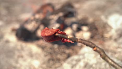 holding a slice of fresh of raw deer meat on a stick in first person view - burning bonfire in shallow depth background