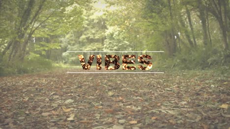 animation of the word vibes written in glittering gold letters over sunlit forest