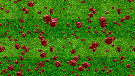bola de cricket rebote de fondo de bucle de azulejos