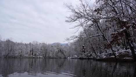 Schöner-See-Mit-Ruhigem-Kaltem-Wasser,-Das-Waldbäume-Reflektiert,-Die-Mit-Weißem-Schnee-Bedeckt-Sind