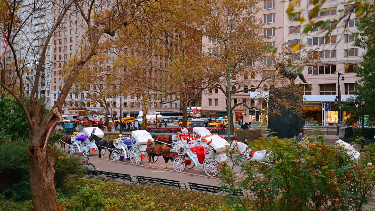 New York, USA, 8. Oktober 2025: Pferdekutschen stehen am Eingang des Central Parks. Traditionelle Pferdekutschen warten in der Nähe des Eingangs zum Central Park mit den Stadtgebäuden im Hintergrund