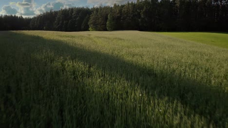 drone shot over grass fields in rural warmia, poland