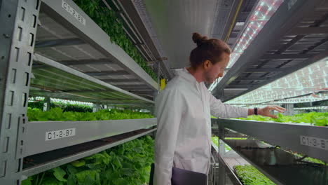 un grupo de personas con abrigos blancos con una computadora portátil y una tableta en una granja hidropónica contribuyen con datos de investigación sobre verduras al centro de datos para el análisis y la programación del riego de plantas.