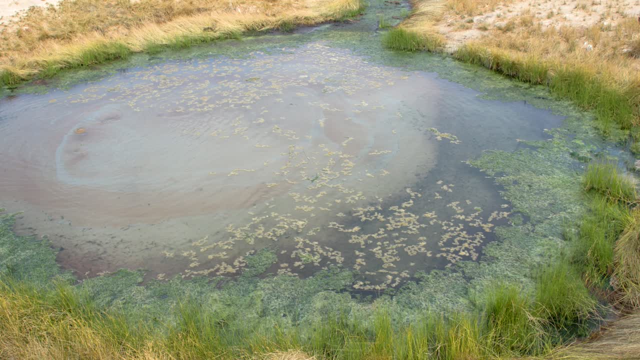 Great Artesian Basin hot spring, The Bubbler, wide 4k