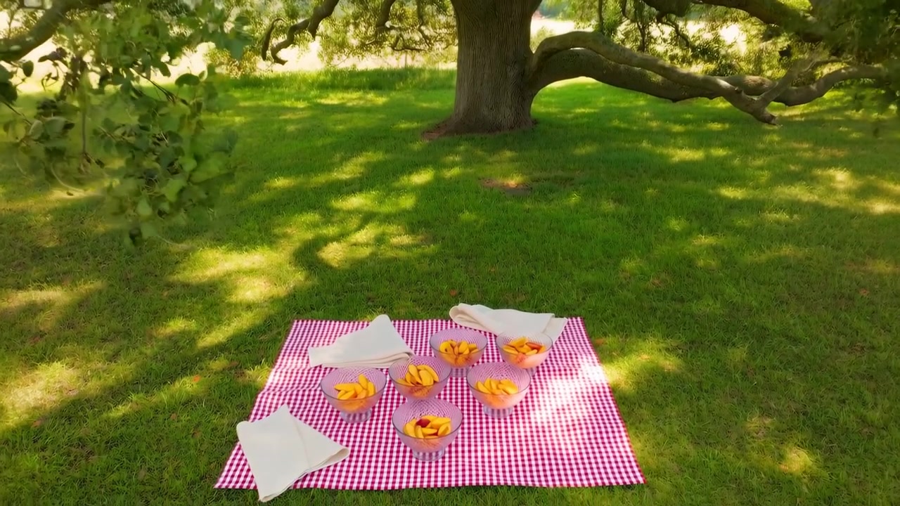 Una tranquilla scena di parco all'aperto con una coperta a quadri rossi e bianchi, piatti e cibo disposti sull'erba sotto un grande albero frondoso sotto la calda luce del sole.