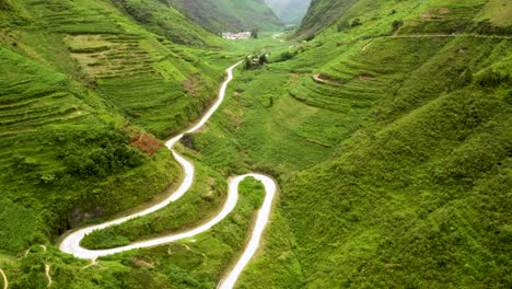 beautiful winding road carved into a gorgeous lush green valley in ma pi leng pass in northern vietnam