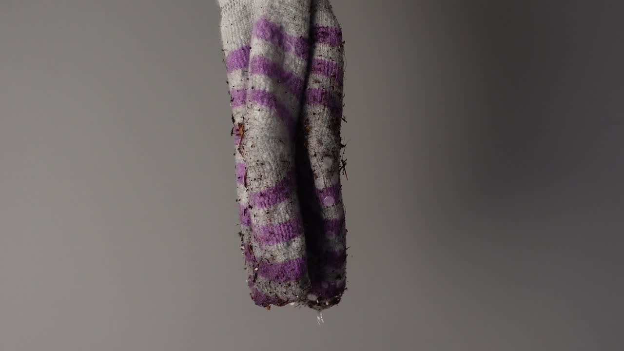 Dirty Sock with Dirt