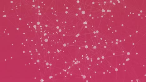 animation of network of connections floating against pink background with copy space