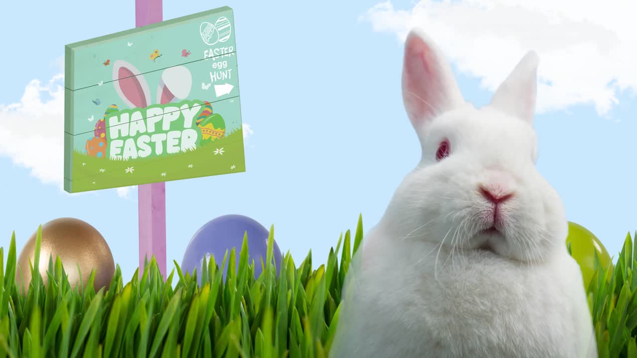 Animation of easter bunny with happy easter and egg hunt text on board over blue sky