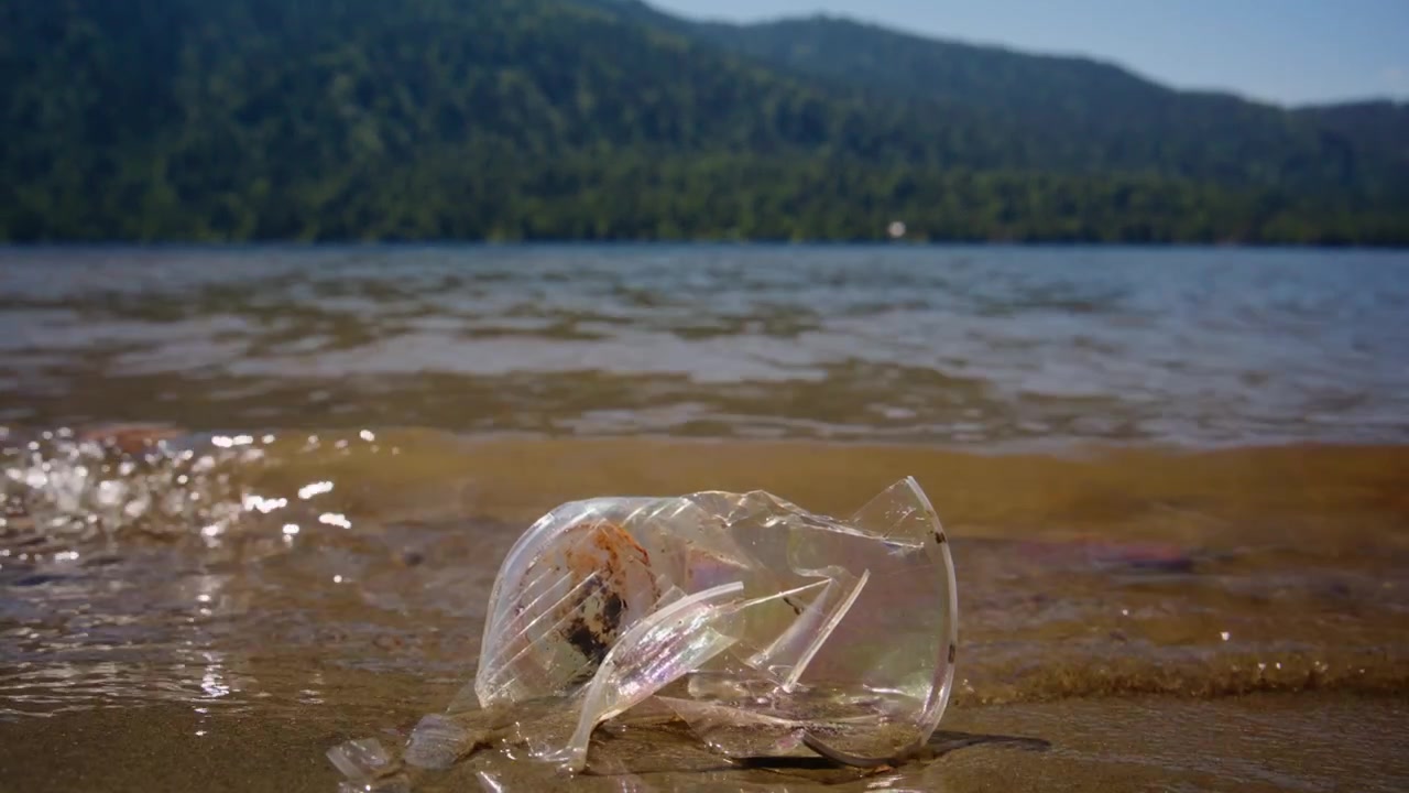 Una bottiglia di plastica giace schiacciata sulla riva sabbiosa, le onde lambiscono dolcemente. Colline boscose si estendono dietro, sotto un cielo limpido. La bellezza della natura contrasta con l'inquinamento. Ideale per campagne di sensibilizzazione ecologica.