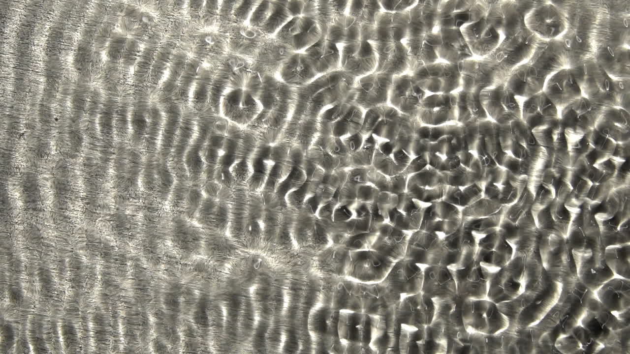 웨이브 탱크는 빠르고 혼란스러운 다양한 웨이브 패턴을 표시합니다.