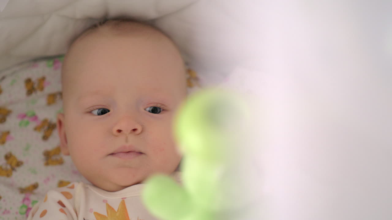 활동적 인 6 개월 아기 소녀는 침대에서 장난감으로 놀고 있습니다.