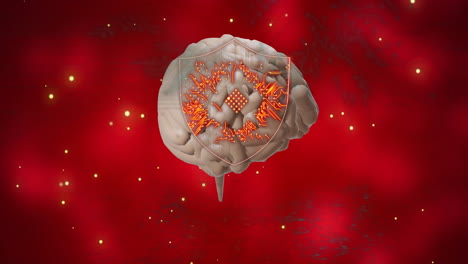 animation of circuit board over human brain spinning on red background