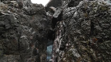 geyser spraying out of rocks on beach near fort bennett, tobago, west indies.