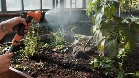 jardinero que trabaja en interiores