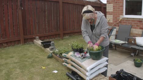 female gardening potting plants outdoors during springtime