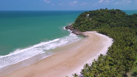 palm trees and greenery wrap around an empty tropical beach, aerial rising backward