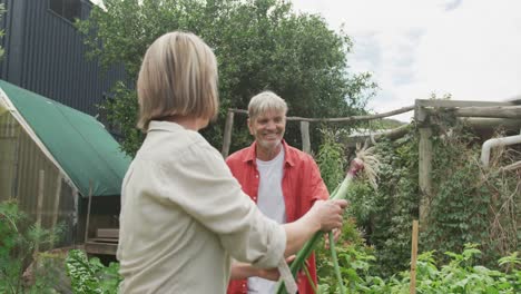 smiling senior caucasian couple harvesting and working together in garden