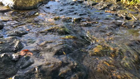 fast creek with clear water running over the stones