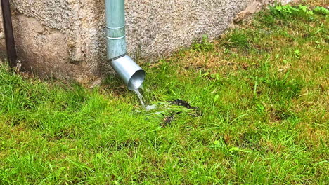 rainwater flowing from metal downspout onto green grass next to old building wall