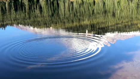 Monte-Rainier-En-El-Estado-De-Washington-Estados-Unidos-Reflejado-Desde-Un-Lago