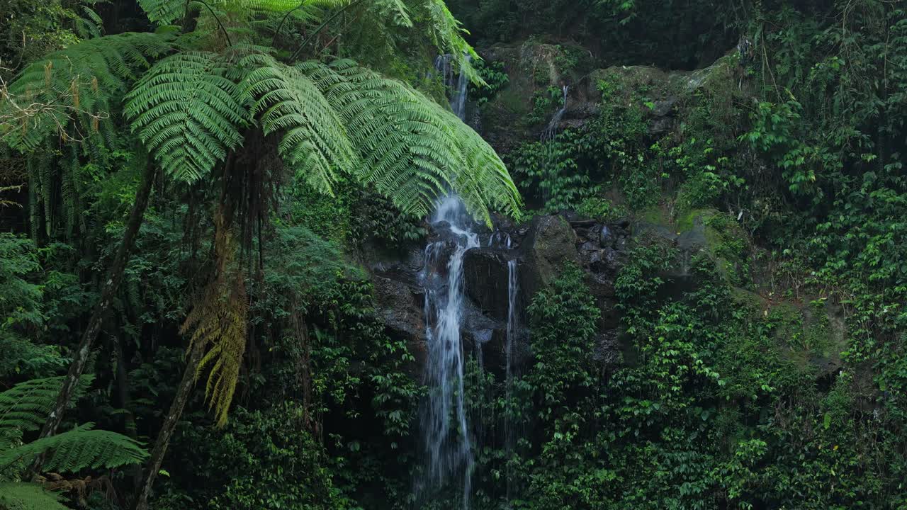 Idyllic jungle landscape featuring cascading waterfalls, tropical vegetation, and serene natural atmosphere