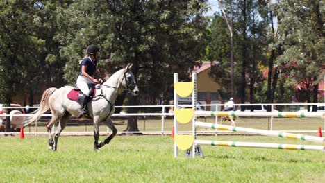 caballo y jinete completando un curso de salto de espectáculo.