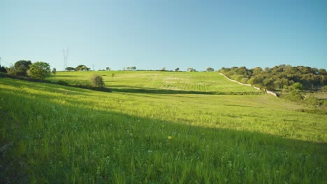 campo verde al atardecer con árboles, colinas, casa rural, poste de energía, cielo azul viento bajo