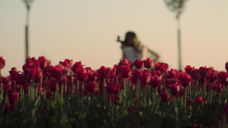 Vista-Posterior-De-La-Música-Femenina-En-El-Campo-De-Tulipanes.-Niña-Desconocida-Tocando-El-Violonchelo-En-El-Parque.