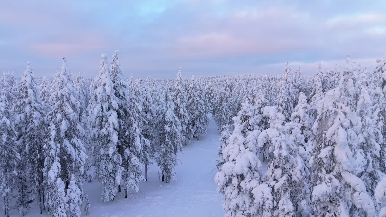 Ilmakuva Lapin talvimaisemasta, jossa runsas lumi painaa puita
