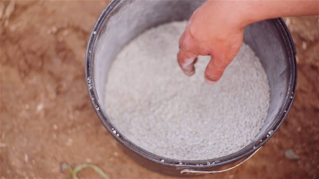 농업 분야에 비료를 주기 전에 손에 제초제 비료를 검사하는 농부