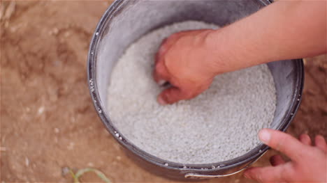 Farmer-Examining-Herbicides-Fertilizer-In-Hands-Before-Fertilizing-Agriculture-Field