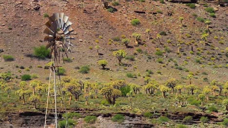 Molino-De-Viento-Frente-Al-Bosque-De-árboles-Carcaj