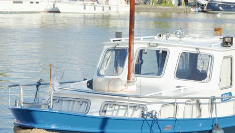 a stationary white and blue cabin cruiser is docked on a calm canal in haarlem, netherlands, under bright daylight with minimal camera movement