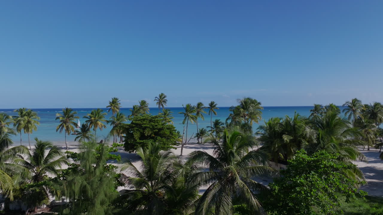 Scenic footage from Punta Cana and the Dominican Republic, showcasing turquoise Caribbean waters, lush jungle, white-sand beaches, and vibrant tropical nature