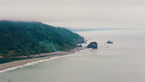 misty coastal landscape with forest and sea stacks