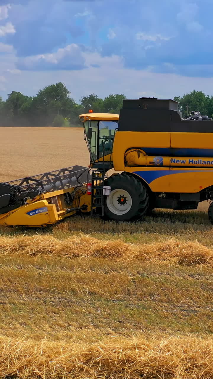 Harvesting wheat with combine. Aerial shot of combine gathering wheat crop. Vertical video