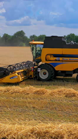 harvesting wheat with combine. aerial shot of combine gathering wheat crop. vertical video