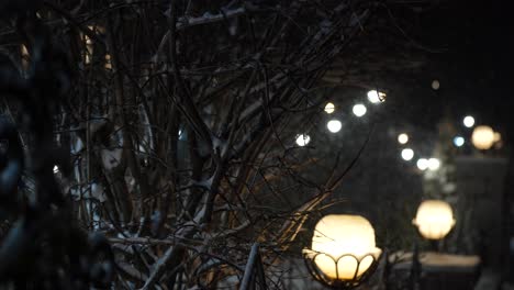 snowing on house yard with lights on frozen winter night, cold dark background