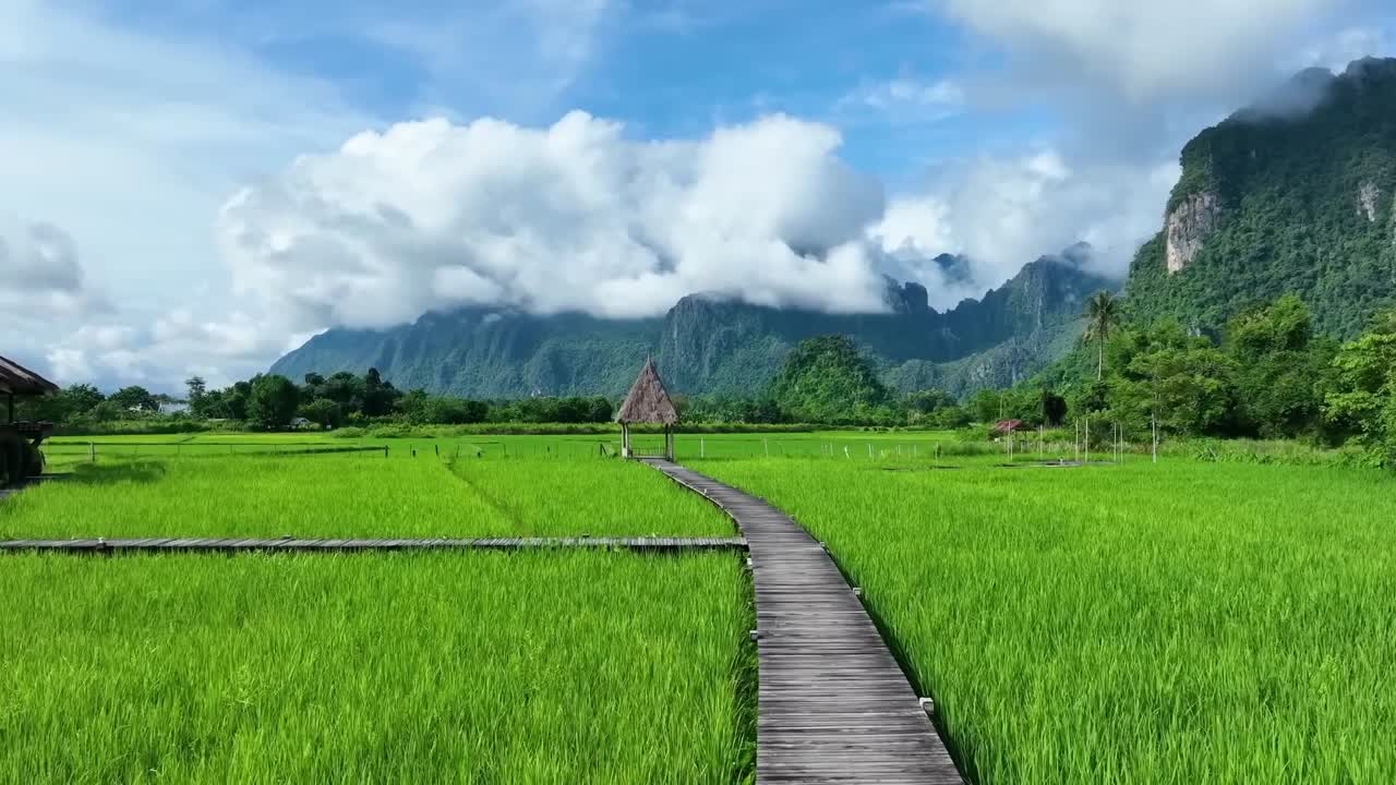 Drone footage of a wooden walkway winding through green rice fields, leading to a thatched hut with misty limestone mountains in the background under blue sky.